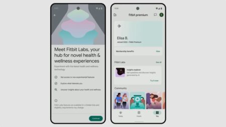 Fitbti AI gemini